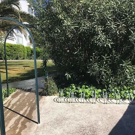 La Mascotte De Pking セット