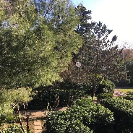 La Mascotte De Pking *