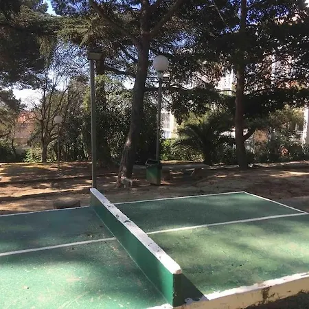 La Mascotte De Pking Appartement